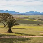 Langeberg Mountain View from Room